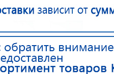 СКЭНАР-1-НТ (исполнение 01 VO) Скэнар Мастер купить в Сочи, Аппараты Скэнар купить в Сочи, Скэнар официальный сайт - denasvertebra.ru